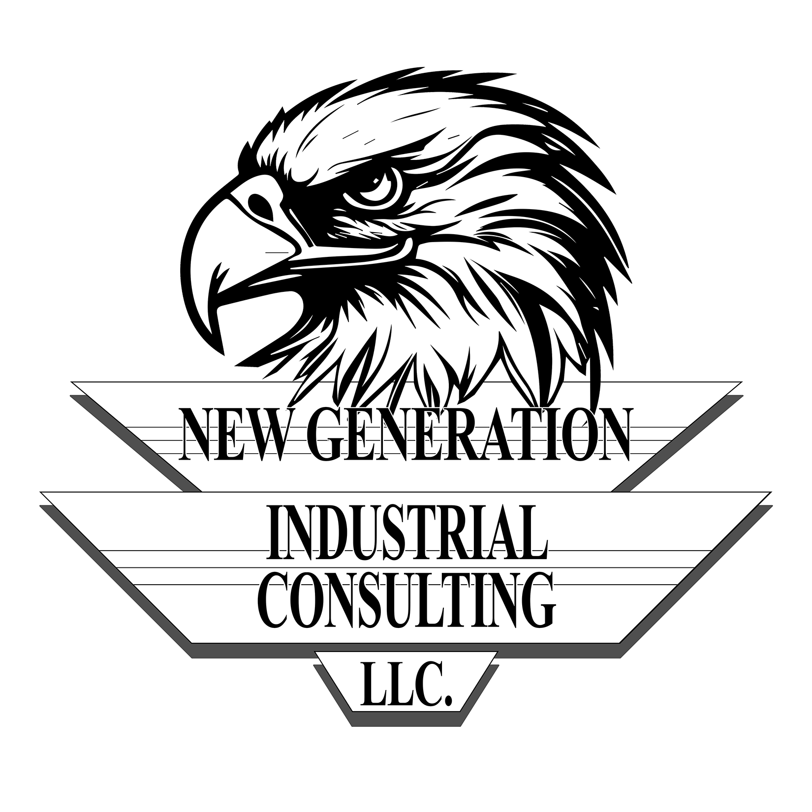 NGIC_Logo-Sml03